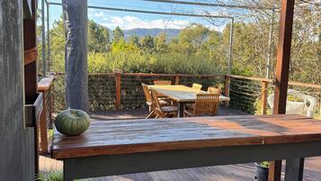 A wooden deck with a table and chairs, a metal chair, and a potted plant.