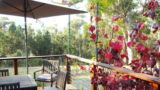 Een houten terras met tafel en stoelen, omgeven door een metalen hekwerk en een pergola met rode bladeren.