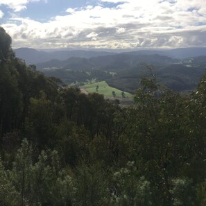 Una vista panorámica de un paisaje montañoso, con un bosque denso en primer plano y colinas ondulantes en la distancia.