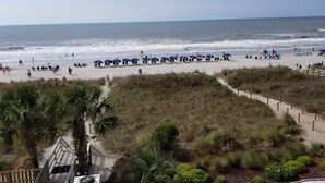 Una spiaggia con ombrelloni blu, persone e una passerella in legno.