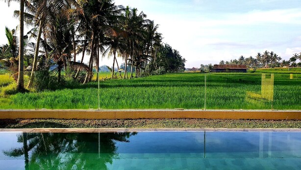 Blick auf einen Swimmingpool mit deutlicher Spiegelung von Palmen und einem grünen Feld.