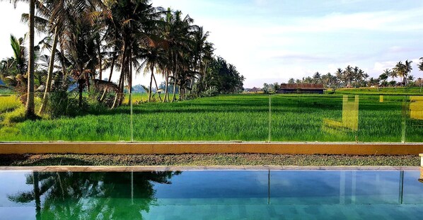Outdoor pool - RC Ubud Villa 2 - 3 bedroom private pool villa (Ubud)