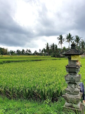 Golf - RC Ubud Villa 2 - 3 bedroom private pool villa (Ubud)