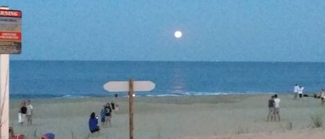 Beach nearby, sun-loungers, beach towels