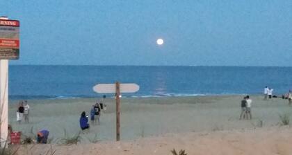 Fun in the Sun for Everyone @ Bethany Beach, Delaware
Your vacation awaits