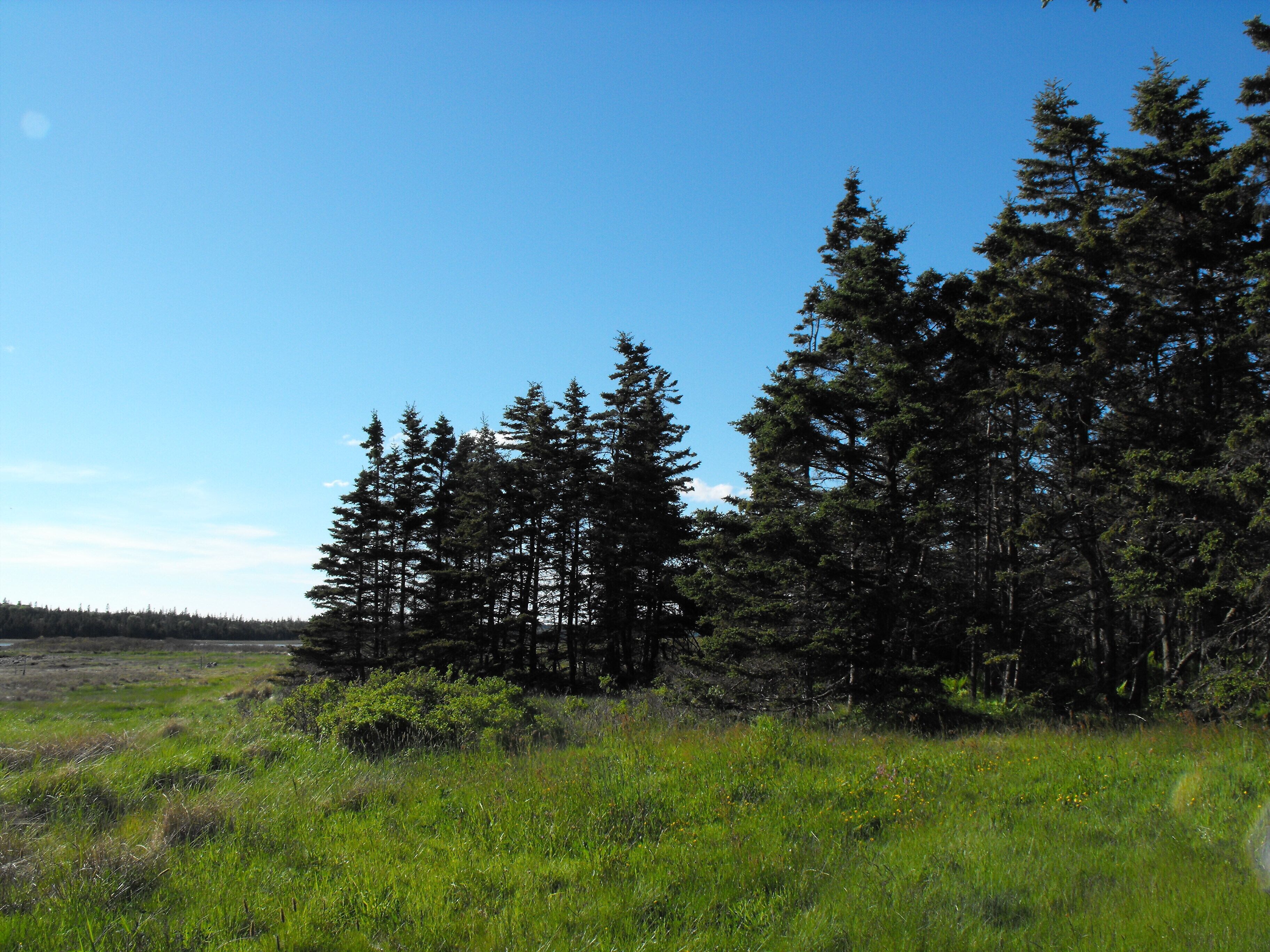 Simple Rustic Cottage