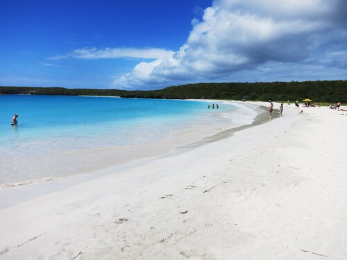 Vieques Ocean View House & walk to beach 7br - 6bth Pool table & Ping Pong