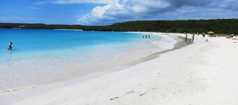 Vieques Ocean View House & walk to beach 7br - 6bth Pool table & Ping Pong