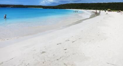 Vieques Ocean View House & walk to beach 7br - 6bth Pool table & Ping Pong