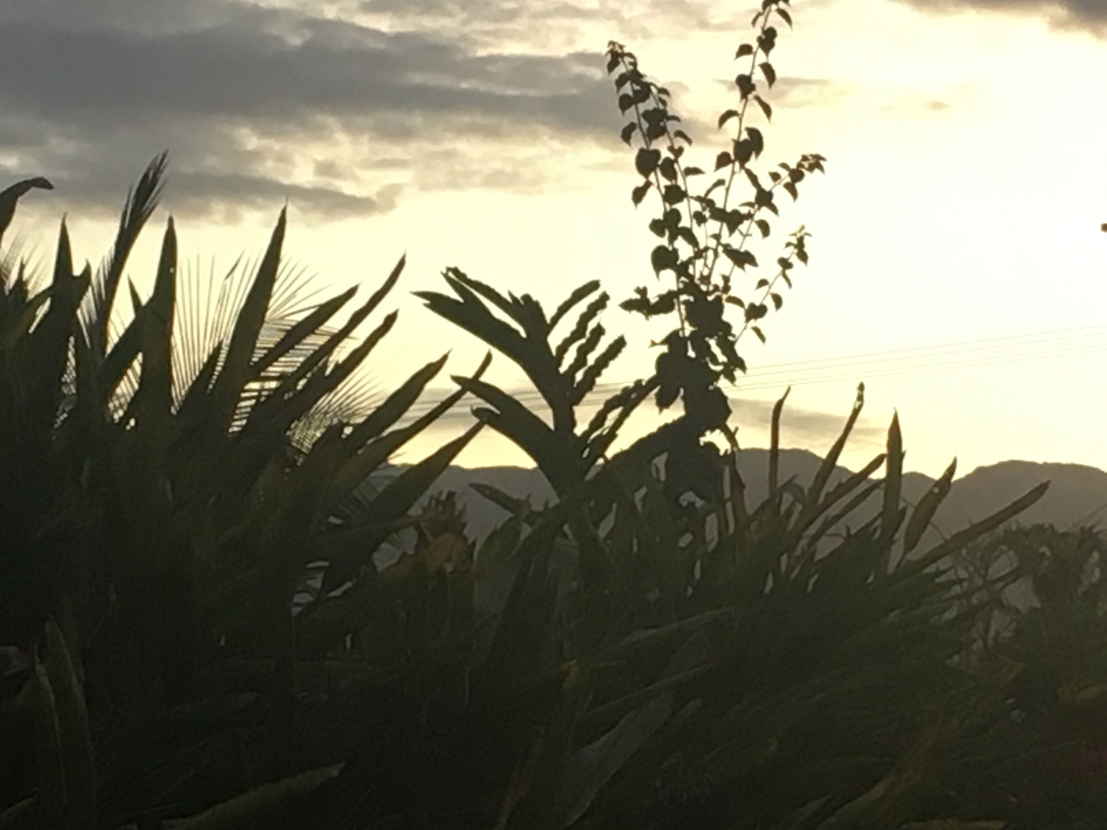 Coco Beach Villa - Tropical Beachfront Haven — image 25