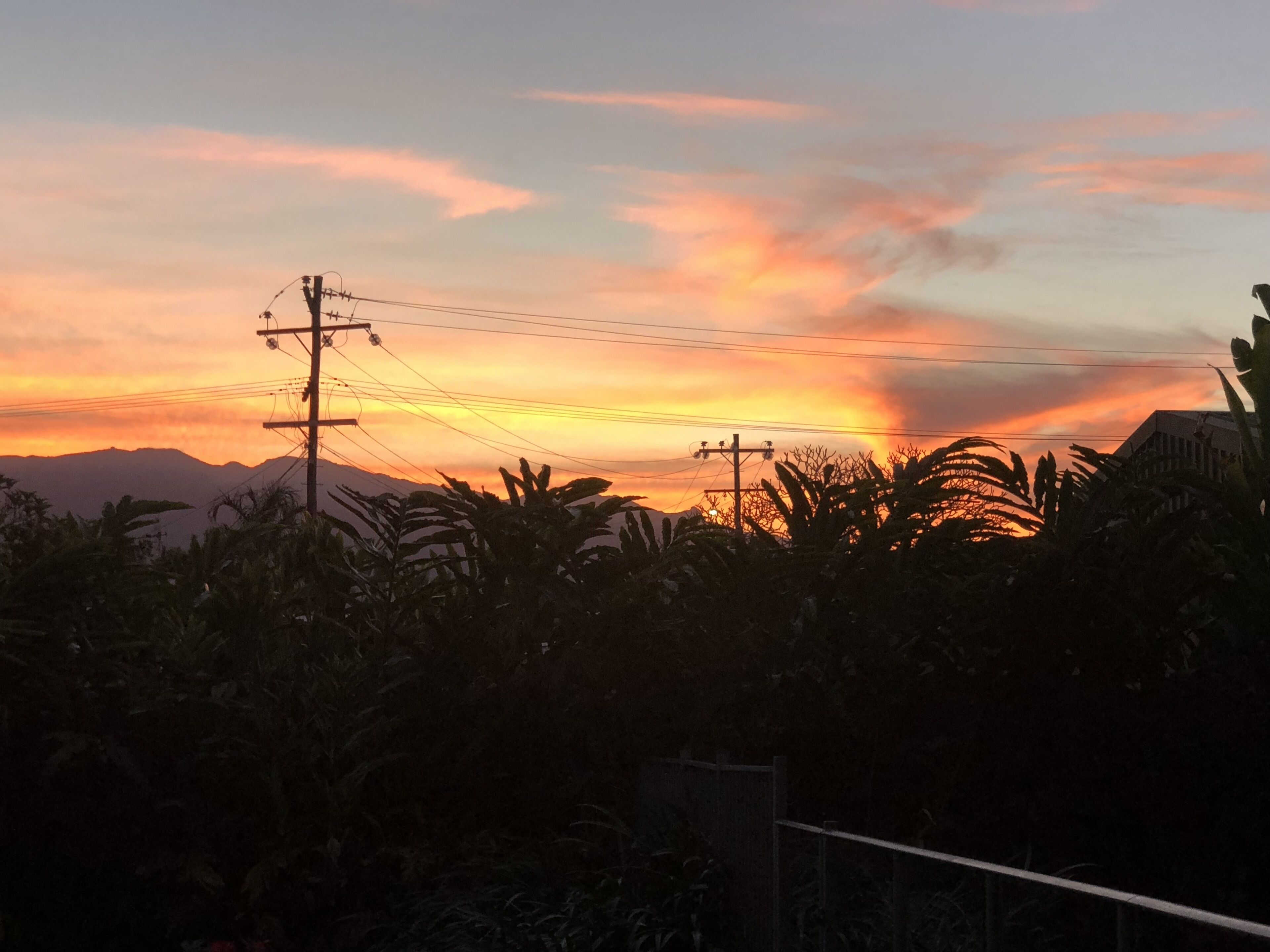 Coco Beach Villa - Tropical Beachfront Haven — image 8