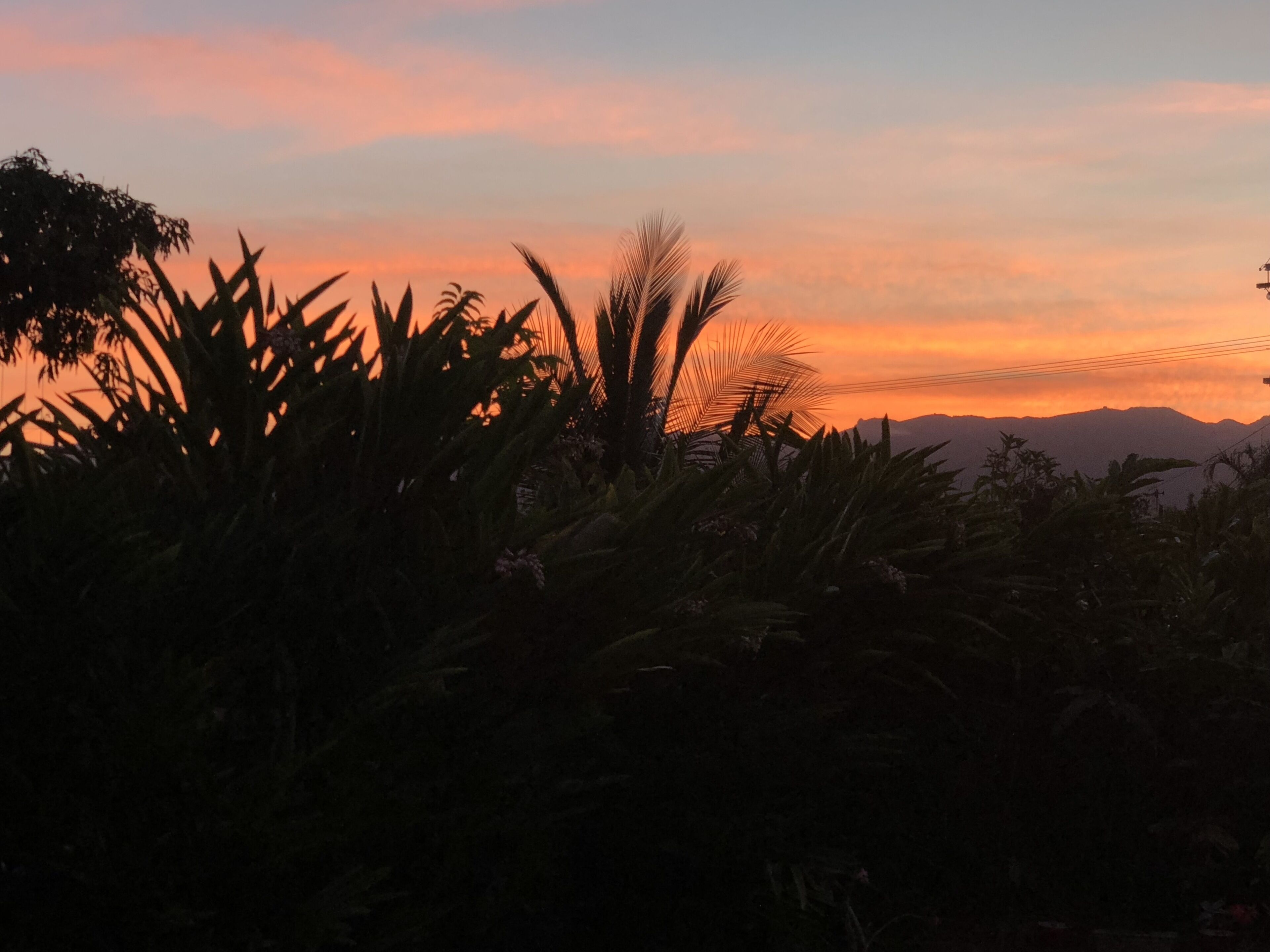 Coco Beach Villa - Tropical Beachfront Haven — image 24