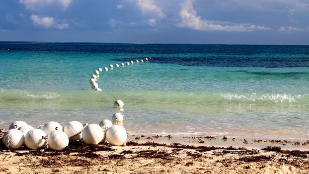 Una playa con boyas blancas alineadas, agua turquesa cristalina y una orilla arenosa con algas.
