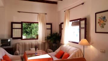 Televisie, een open haard, een dvd-speler en boeken