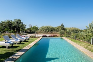 Outdoor pool, pool loungers
