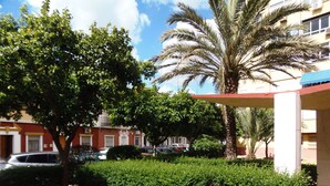A courtyard with a palm tree, a hedge, and a building with a red and yellow facade. - Beautiful studio in Triana (Sevilla)