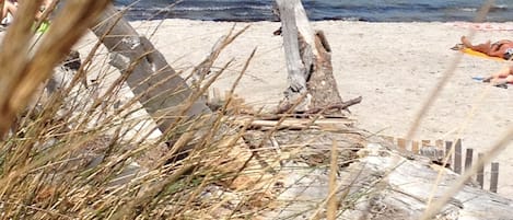 Una spiaggia nelle vicinanze