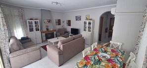 Smart TV, fireplace, books