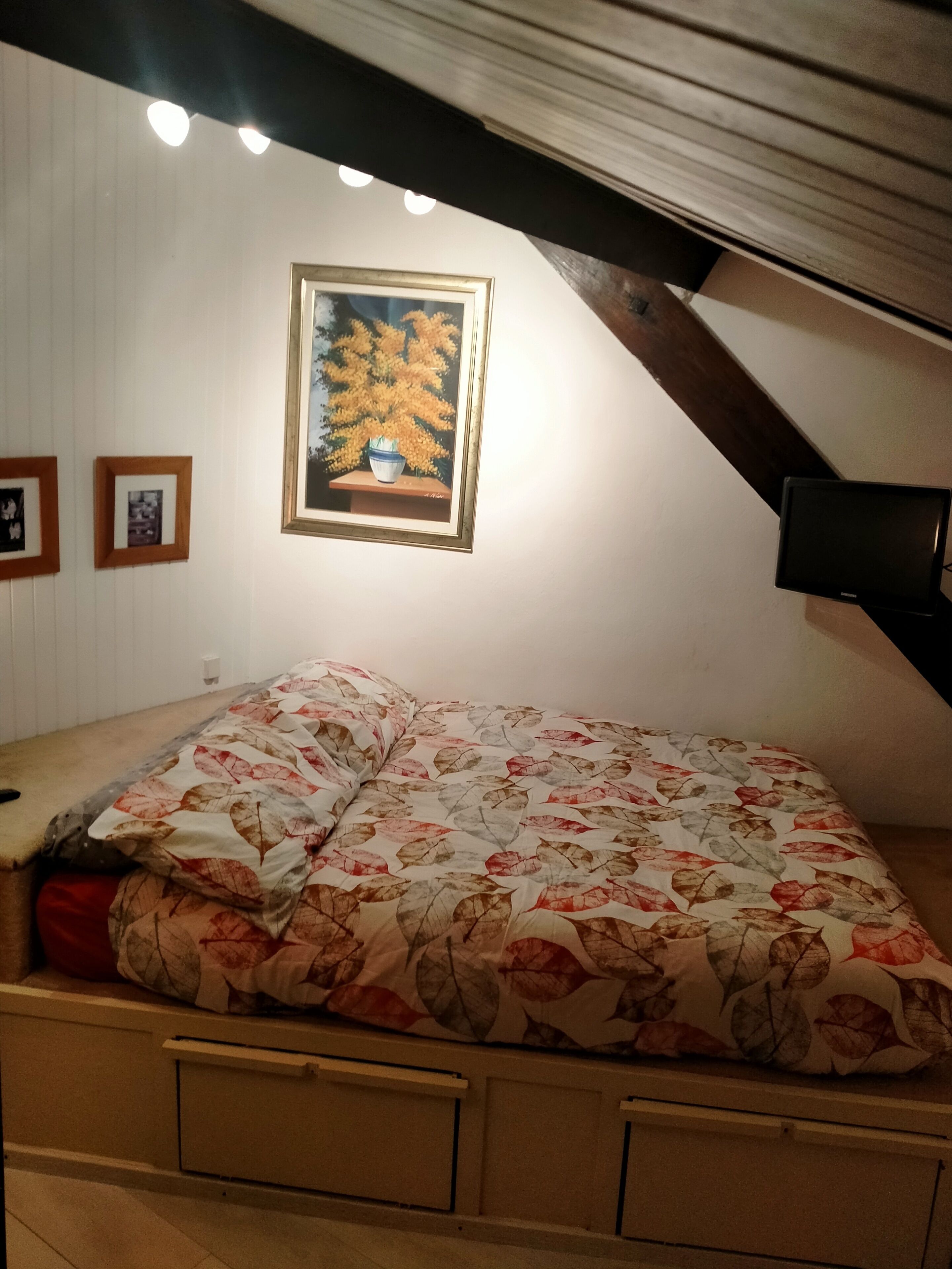 1 slaapkamer, een strijkplank/strijkijzer, gratis wifi, beddengoed