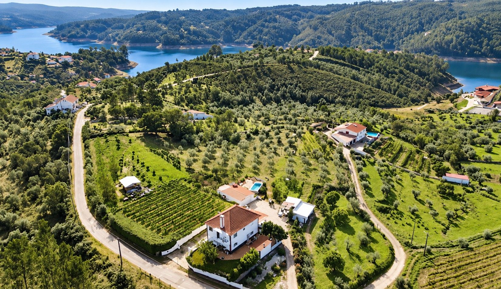 Vista aérea de una propiedad rural con viñedos en terrazas, una piscina y un camino que lleva a un edificio blanco con techo rojo.