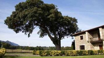 Terrein van de accommodatie