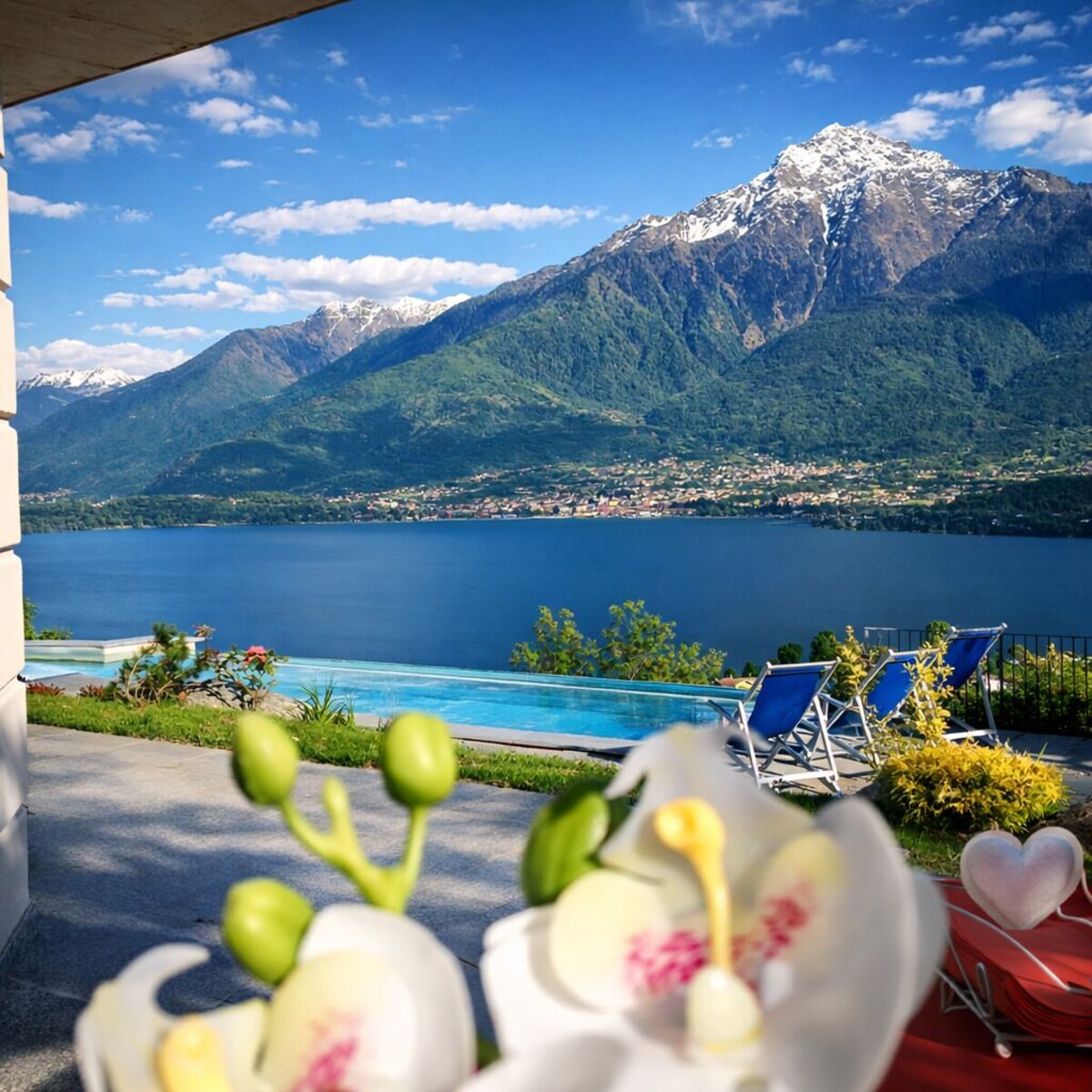 オーナーのプロフィール画像