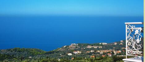 Vista desde la propiedad