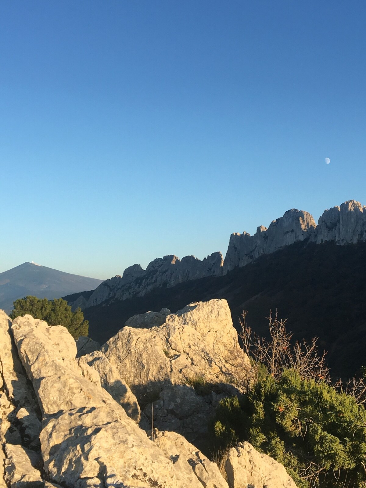 Εικόνα προφίλ οικοδεσπότη