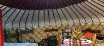 Yurt [sleeps up to 6] & Bathhouse in E Cornwall UK - 5* Off-Grid 