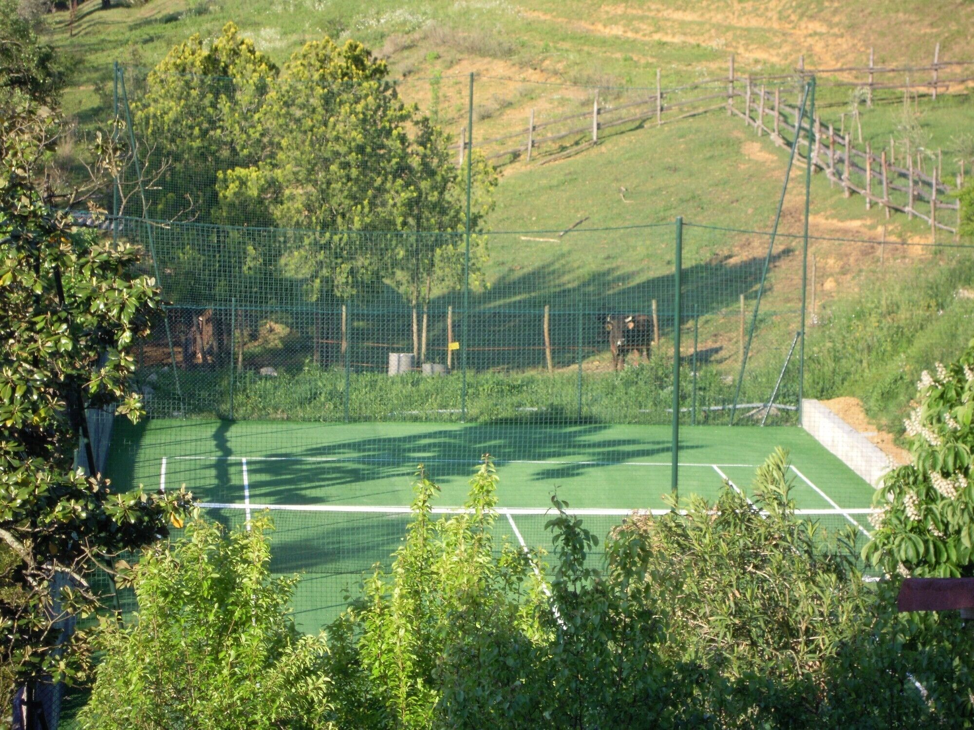 Un court de tennis entouré de clôtures, bordé d’arbres et adossé à une colline herbeuse.