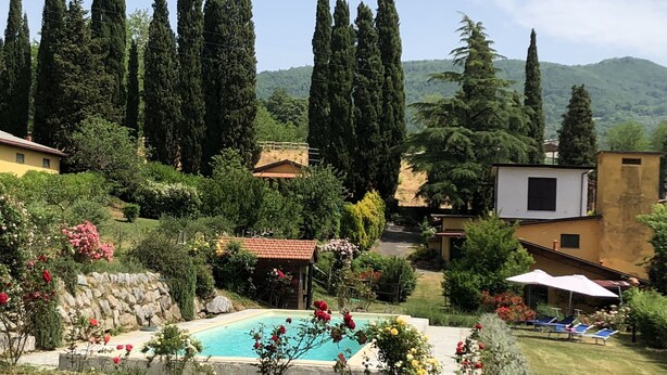 Una piscina rodeada de exuberante vegetación, altos cipreses y un muro de piedra.