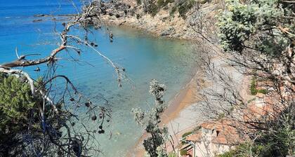 Loin du stress directement sur la plage.