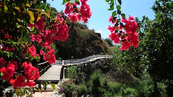 Jardines del alojamiento