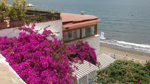 A coastal building with a balcony overlooking the sea, a mountain in the background, and vibrant pink flowers in the foreground.