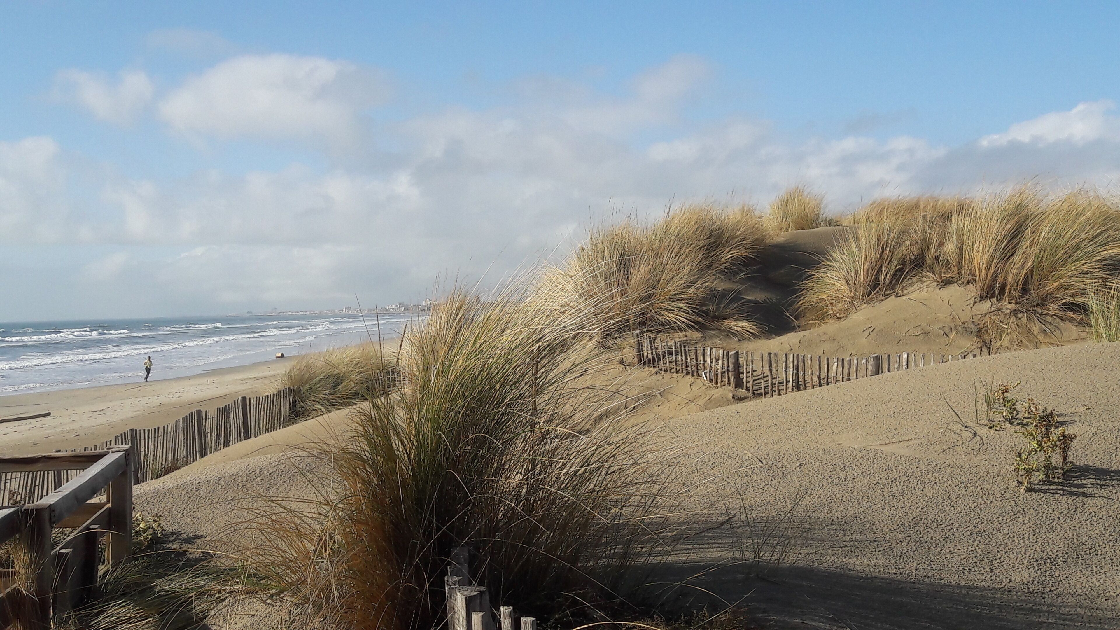 Strand