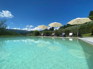 Outdoor pool - Tranquil architect-restored Tuscan villa with infinity pool and panoramic views (Pescia)