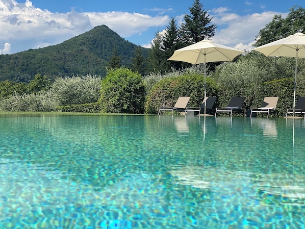 Outdoor pool - Tranquil architect-restored Tuscan villa with infinity pool and panoramic views (Pescia)