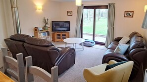 Smart TV, DVD player, books