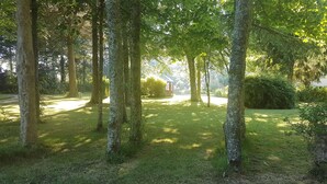 Um parque tranquilo com árvores altas e um caminho aberto que leva a um edifício.
