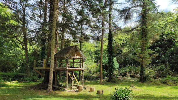 Uma estrutura de casa na árvore de madeira numa área arborizada com chão gramado.
