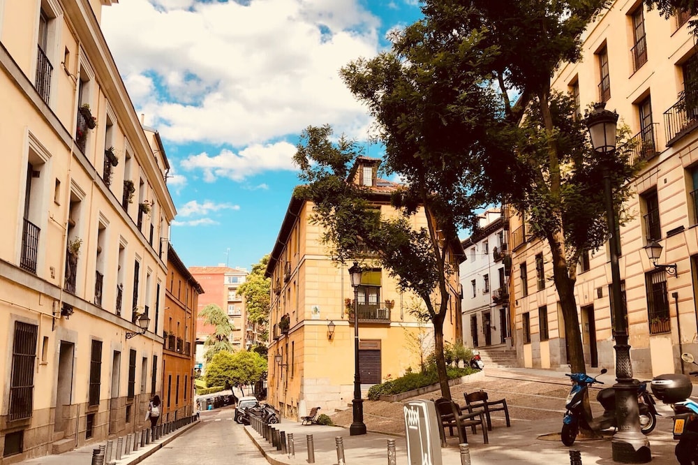 Luxury penthouse with WiFi & AirCon MADRID "LA LATINA"