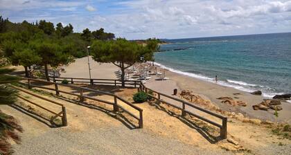 Ferienhaus mit Garten