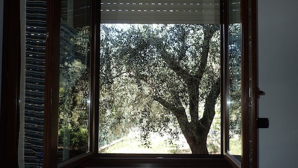 Una habitación con un ventanal grande que da a un árbol y un edificio.