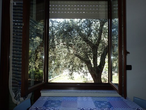 Kleines Haus inmitten der Olivenbäume am Meer 009031LT0003