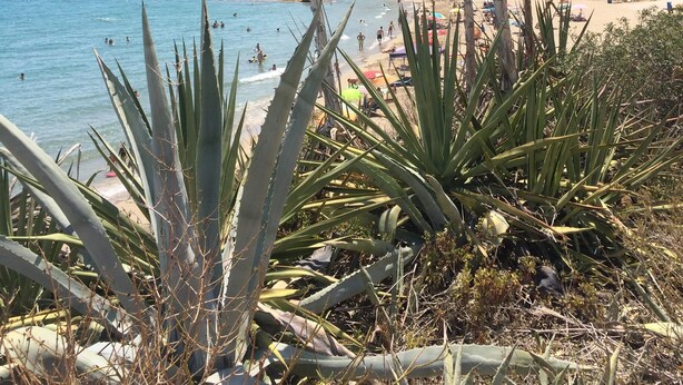 A beach with clear blue water, people swimming, and a building with a rocky hillside in the background. - Beautiful Villa in El Campello with Private Pool and a Step from the Sea (El Campello)