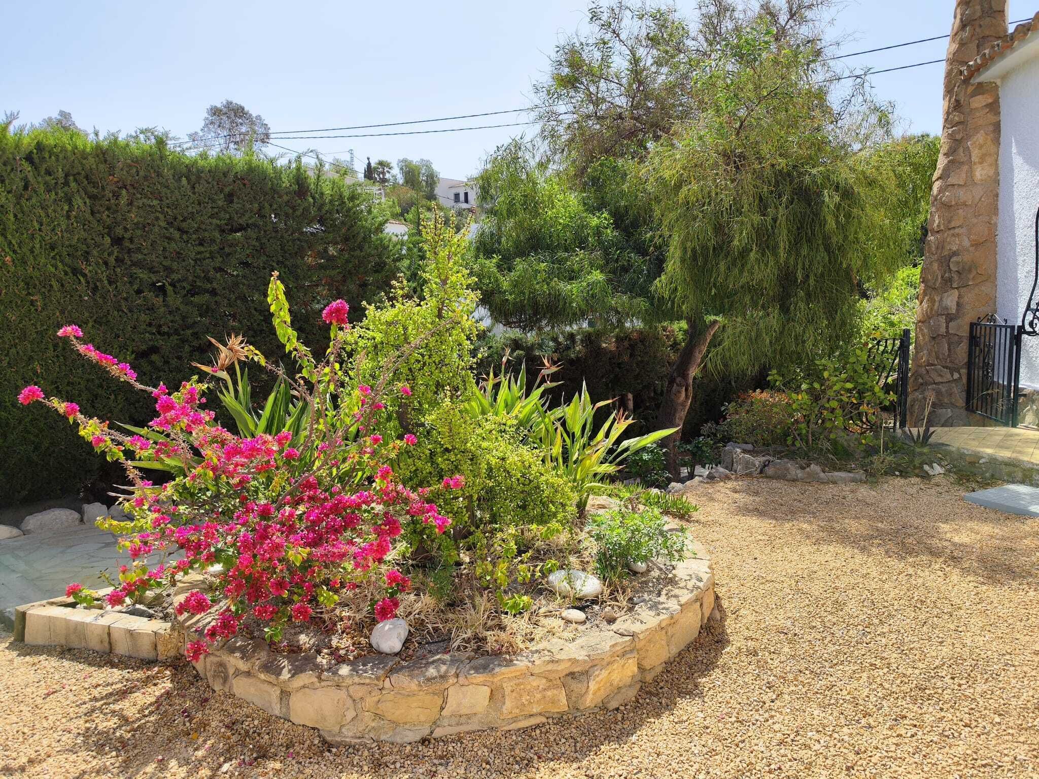 A garden with a stone border, various plants, and a white building in the background.