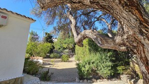 A courtyard with a large tree, a white building, and a stone pathway. - Beautiful Villa in El Campello with Private Pool and a Step from the Sea (El Campello)
