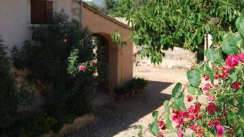 Details aan de buitenkant