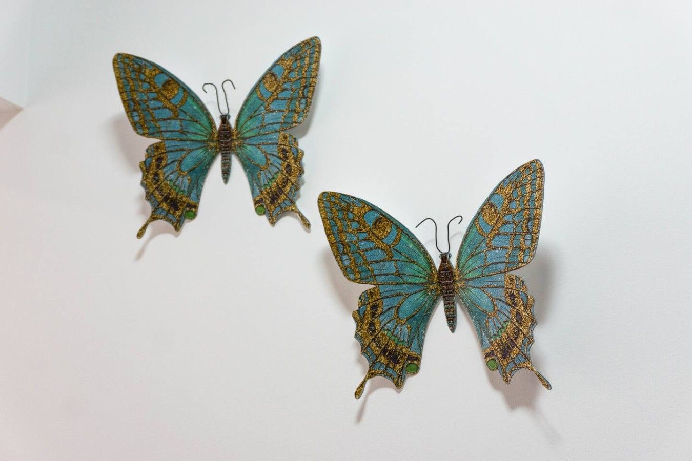Deux papillons décoratifs.