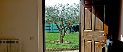 An open wooden door leading to a paved outdoor area with a tree and a fence in the background.